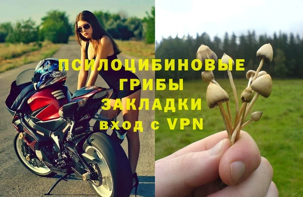 a pvp Абинск