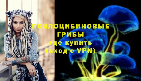 марихуана Абаза