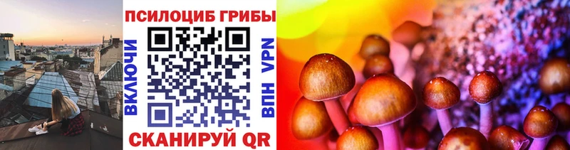 Галлюциногенные грибы Cubensis Железноводск