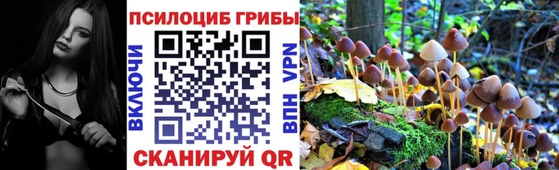продажа наркотиков  Железноводск  Галлюциногенные грибы Psilocybine cubensis 