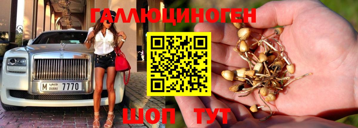 Железноводск  Галлюциногенные грибы мухоморы  Псилоцибиновые грибы ЛСД  Вход с VPN 