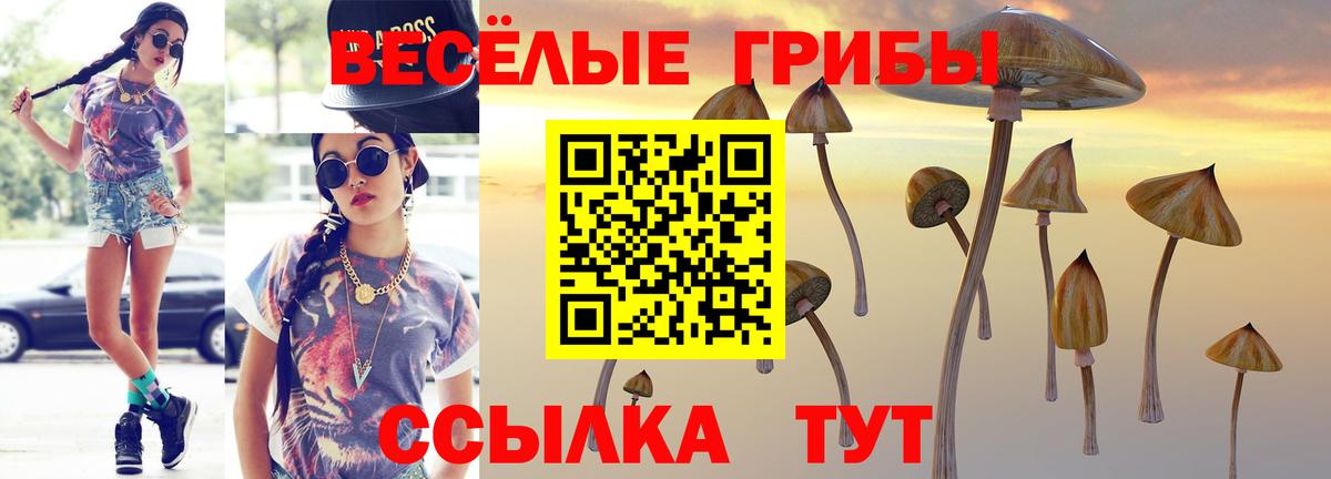 Галлюциногенные грибы прущие грибы Железноводск